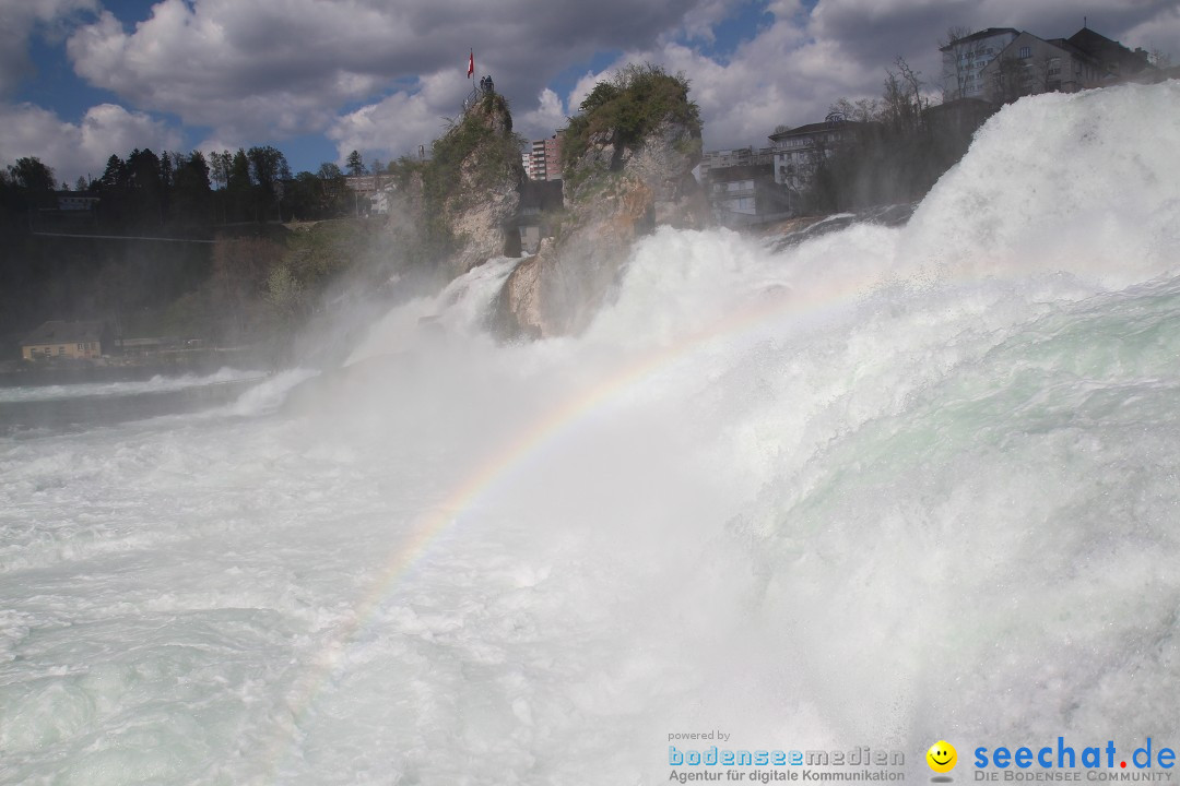 Rheinfall: Neuhausen - Schweiz: Schaffhausen am Bodensee, 09.04.2014