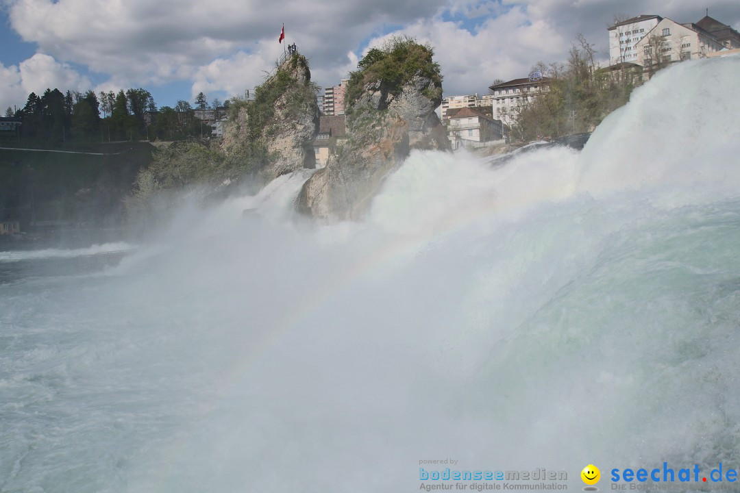 Rheinfall: Neuhausen - Schweiz: Schaffhausen am Bodensee, 09.04.2014