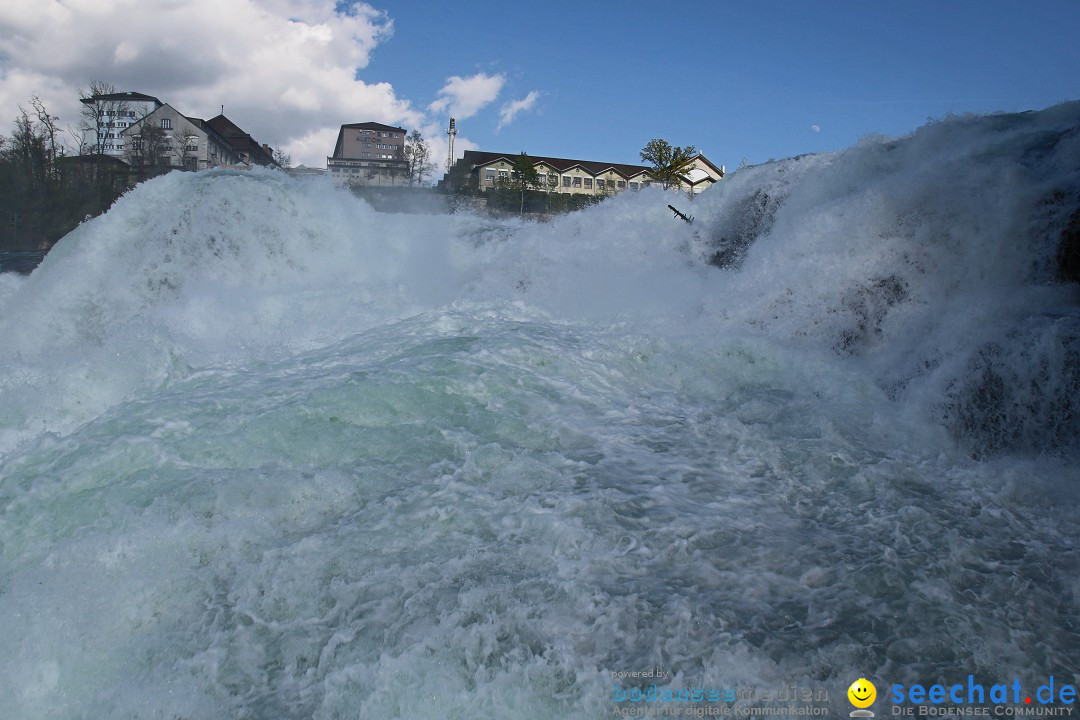 Rheinfall: Neuhausen - Schweiz: Schaffhausen am Bodensee, 09.04.2014