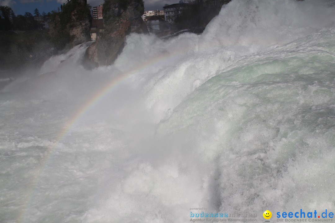 Rheinfall: Neuhausen - Schweiz: Schaffhausen am Bodensee, 09.04.2014