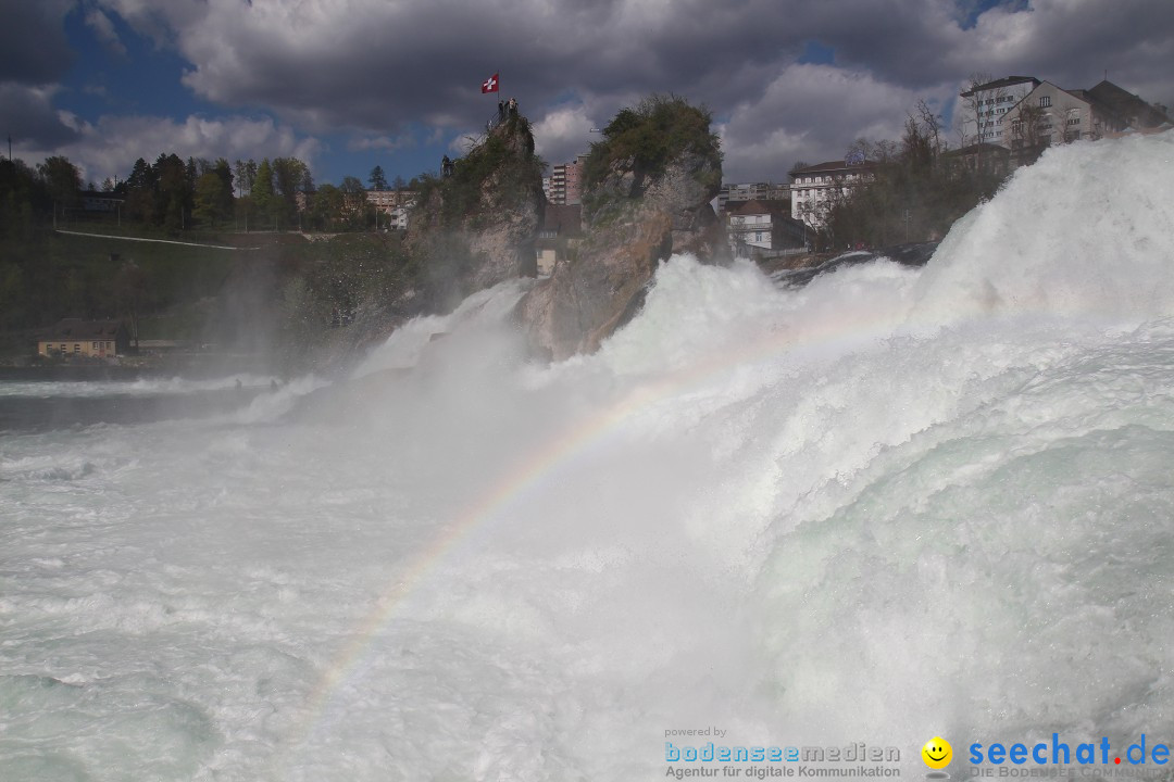 Rheinfall: Neuhausen - Schweiz: Schaffhausen am Bodensee, 09.04.2014