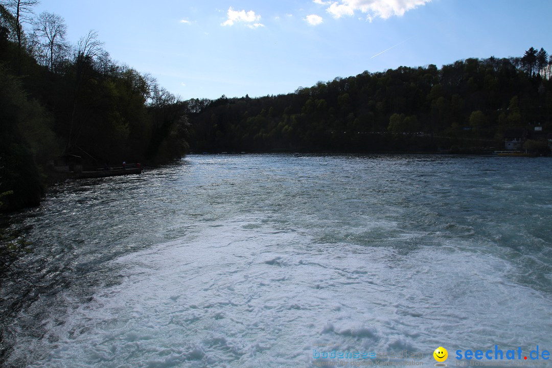 Rheinfall: Neuhausen - Schweiz: Schaffhausen am Bodensee, 09.04.2014