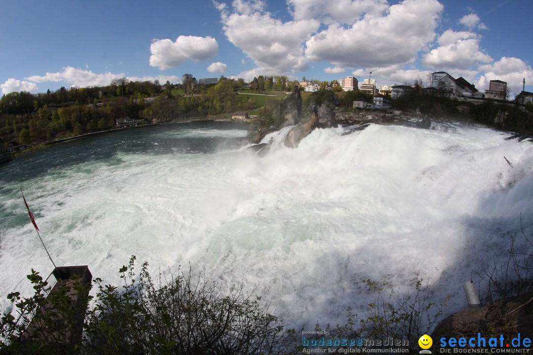 Rheinfall: Neuhausen - Schweiz: Schaffhausen am Bodensee, 09.04.2014