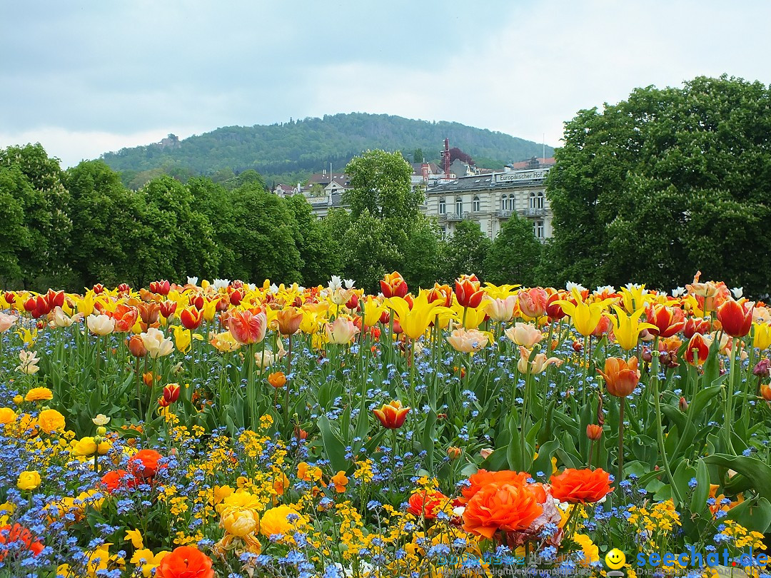 BADEN-BADEN-FINE_ART-140420-20-04-2014-Bodenseecommunity-seechat_de-DSCF4802.JPG