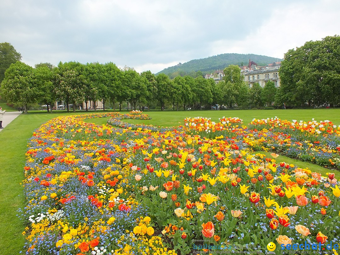 BADEN-BADEN-FINE_ART-140420-20-04-2014-Bodenseecommunity-seechat_de-DSCF4803.JPG