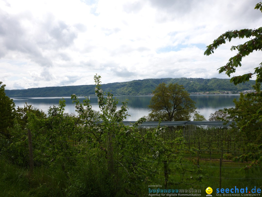 Floriansfest - 1. Mai Wanderung: Sipplingen am Bodensee, 01.05.2014