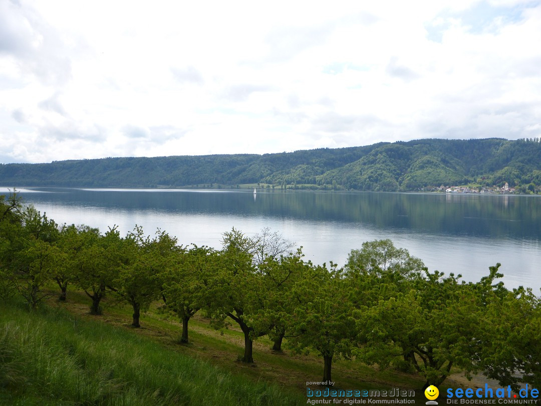 Floriansfest - 1. Mai Wanderung: Sipplingen am Bodensee, 01.05.2014