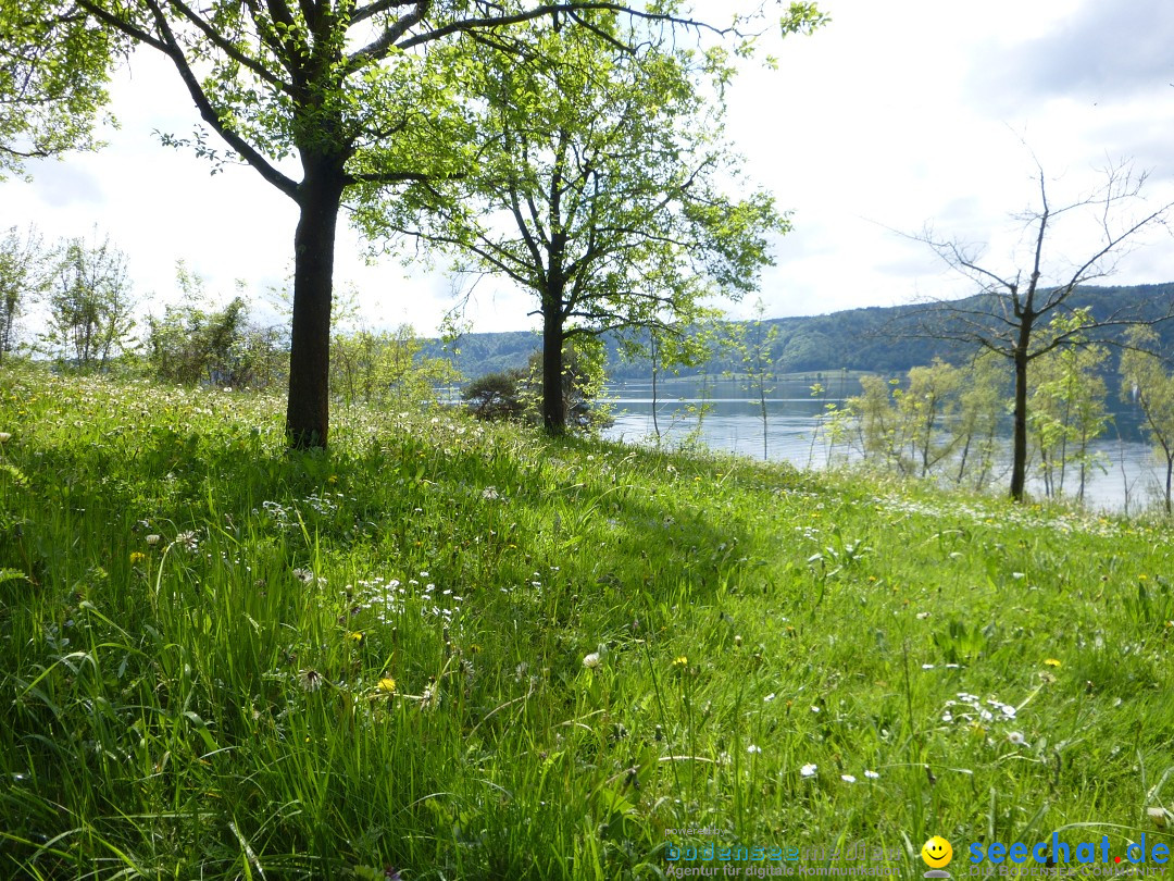 Floriansfest - 1. Mai Wanderung: Sipplingen am Bodensee, 01.05.2014