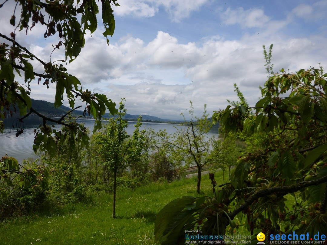 Floriansfest - 1. Mai Wanderung: Sipplingen am Bodensee, 01.05.2014