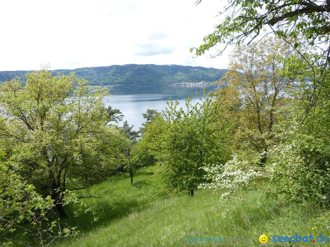 Floriansfest - 1. Mai Wanderung: Sipplingen am Bodensee, 01.05.2014