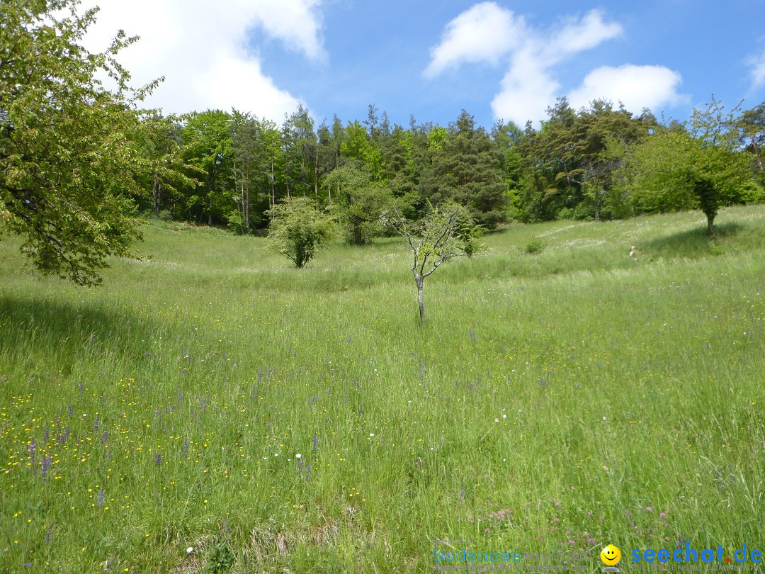 Floriansfest - 1. Mai Wanderung: Sipplingen am Bodensee, 01.05.2014