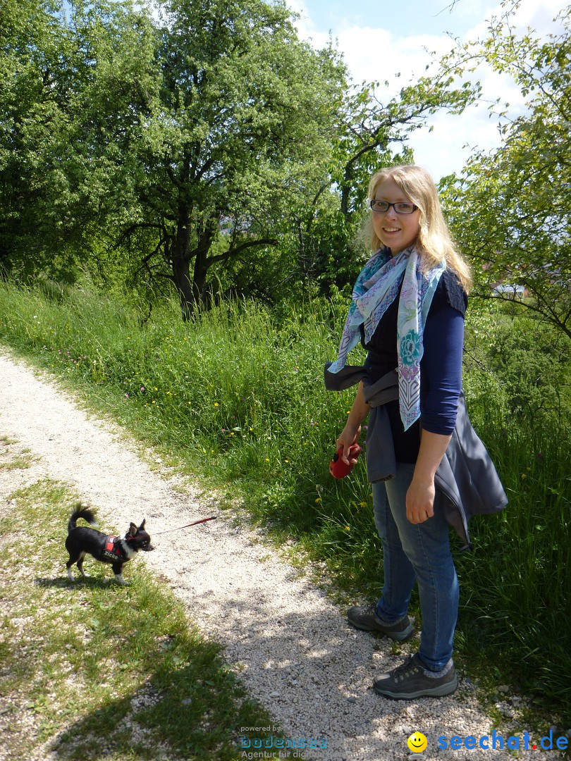 Floriansfest - 1. Mai Wanderung: Sipplingen am Bodensee, 01.05.2014