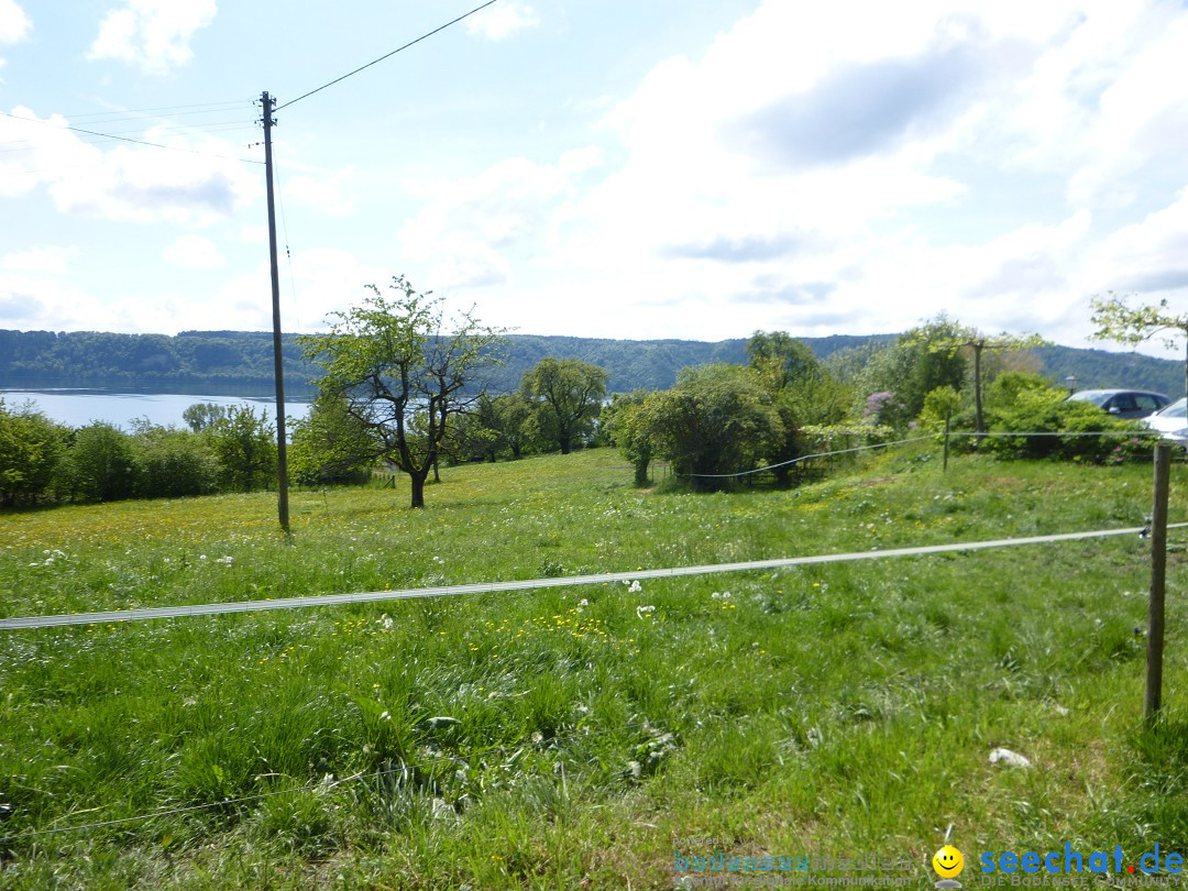 Floriansfest - 1. Mai Wanderung: Sipplingen am Bodensee, 01.05.2014