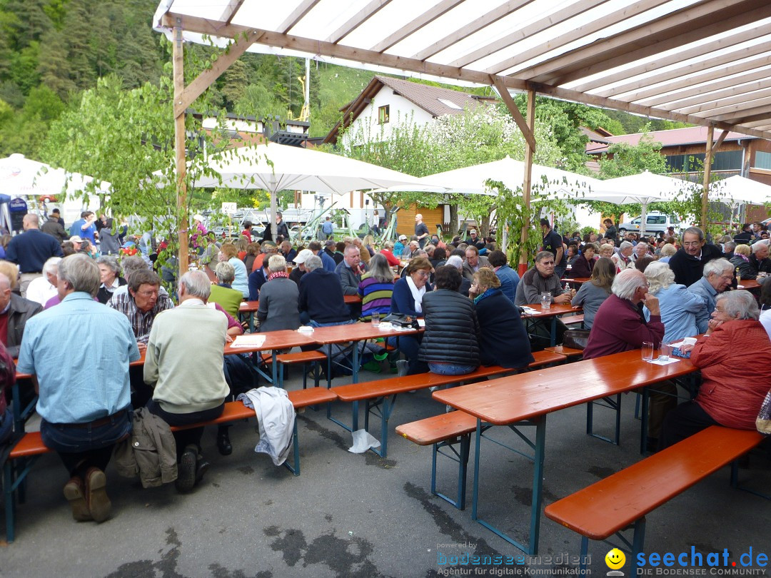 Floriansfest - 1. Mai Wanderung: Sipplingen am Bodensee, 01.05.2014