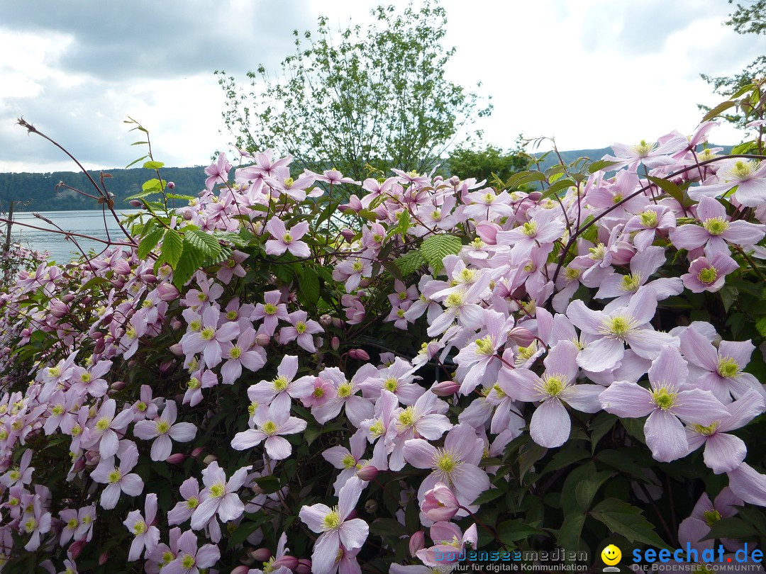 Floriansfest - 1. Mai Wanderung: Sipplingen am Bodensee, 01.05.2014