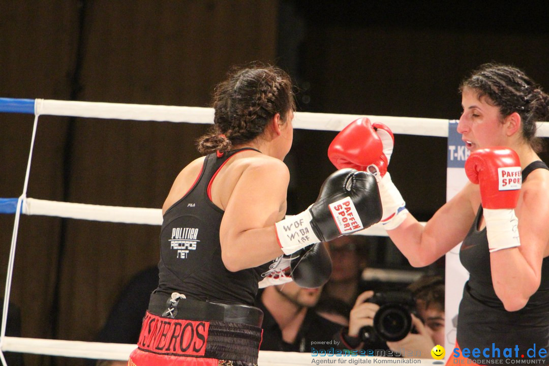 Rola El-Halabi vs. Victoria Cisneros: WM Boxkampf: Ulm, 10.05.2014