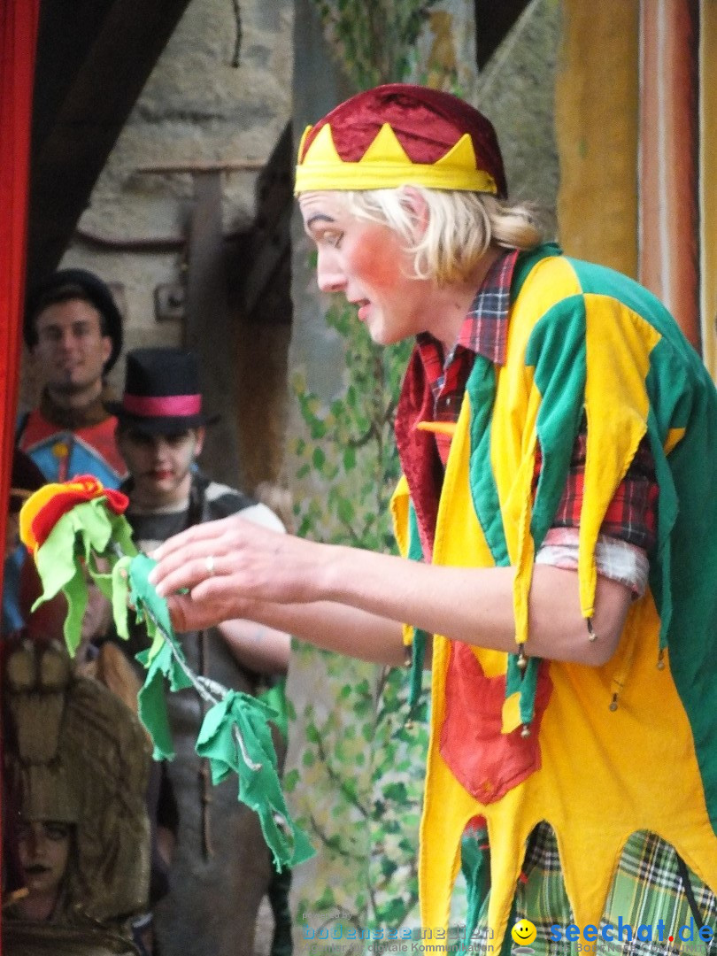 Flohmarkt in der Altstadt - Riedlingen am Bodensee, 17.05.2014