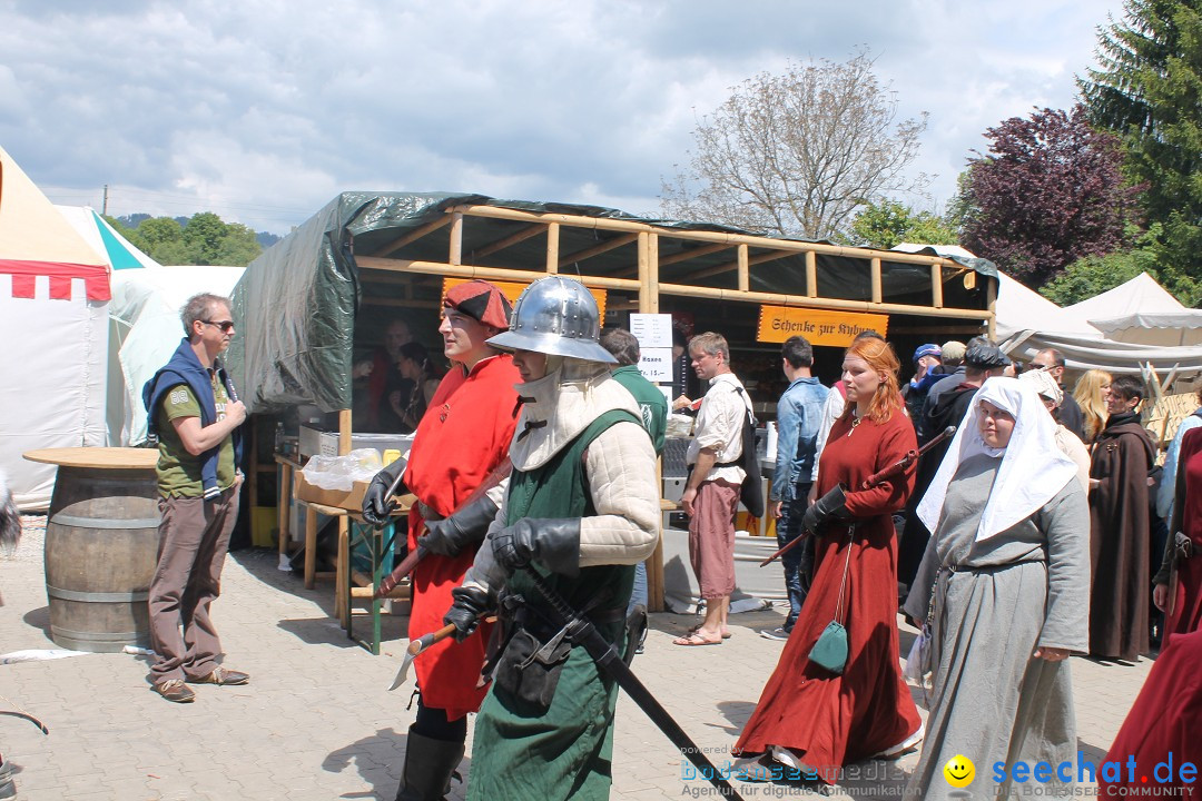 Mittelalterspektakel - Ritterturniere am Bodensee: Hinwil (ZH), 17.05.2014