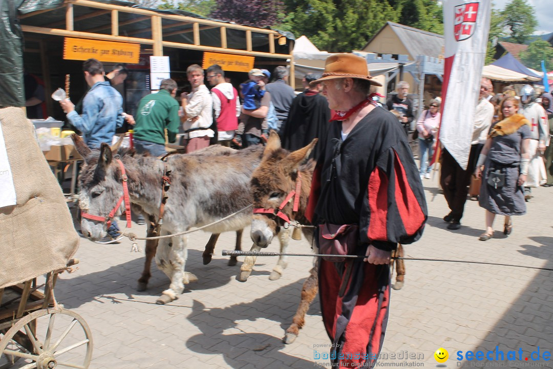 Mittelalterspektakel - Ritterturniere am Bodensee: Hinwil (ZH), 17.05.2014