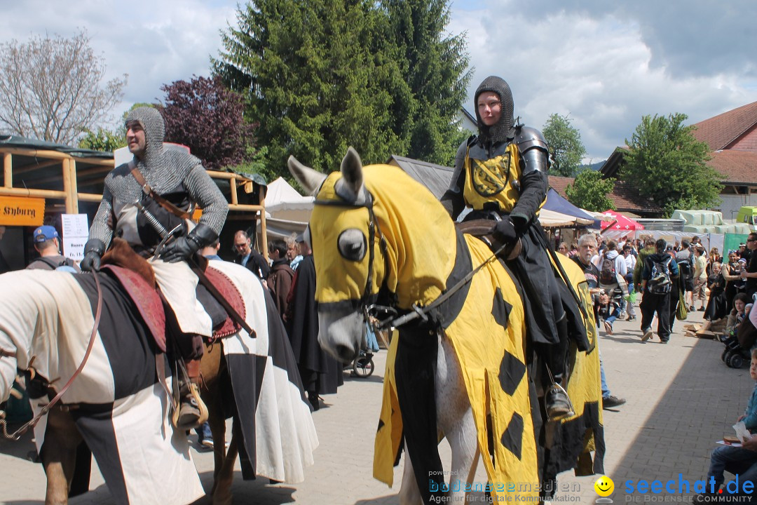 Mittelalterspektakel - Ritterturniere am Bodensee: Hinwil (ZH), 17.05.2014