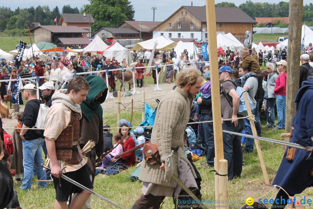 Mittelalterspektakel - Ritterturniere am Bodensee: Hinwil (ZH), 17.05.2014