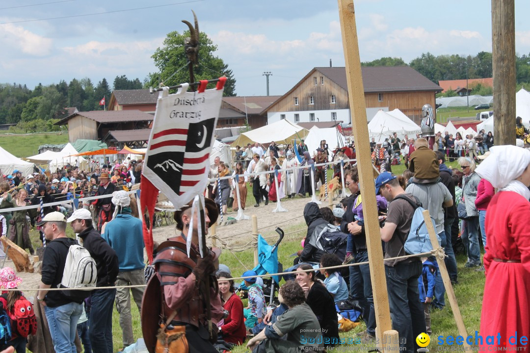 Mittelalterspektakel - Ritterturniere am Bodensee: Hinwil (ZH), 17.05.2014