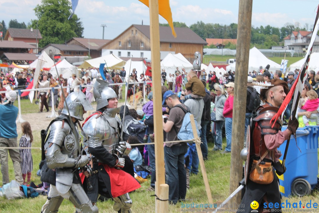 Mittelalterspektakel - Ritterturniere am Bodensee: Hinwil (ZH), 17.05.2014