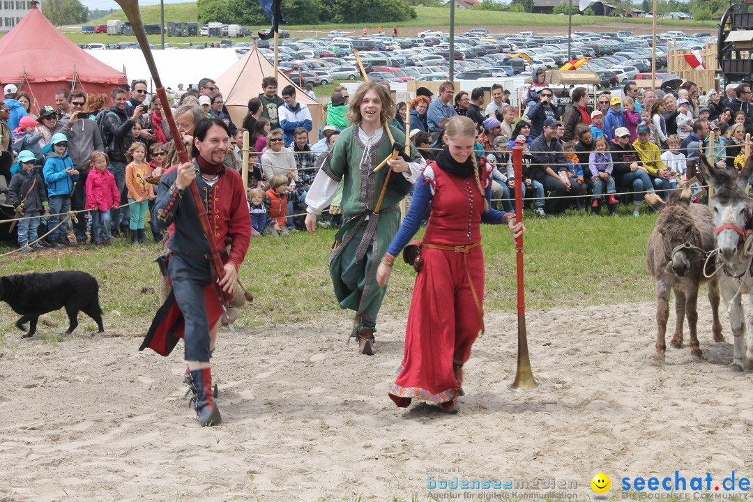 Mittelalterspektakel - Ritterturniere am Bodensee: Hinwil (ZH), 17.05.2014