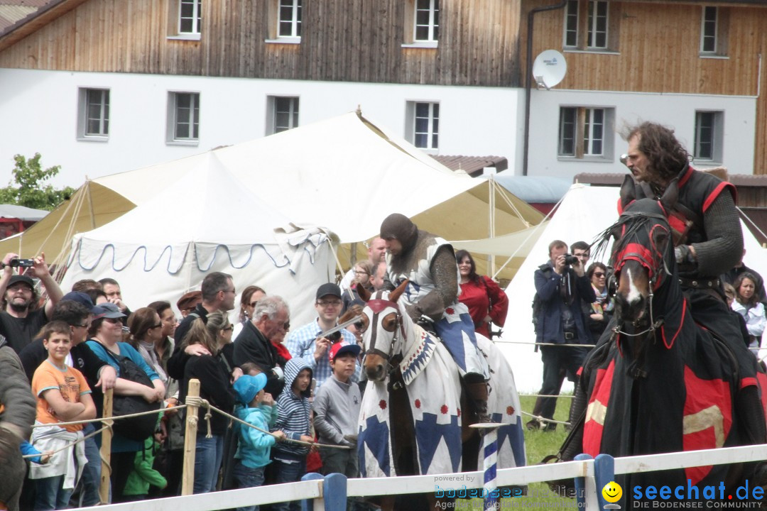 Mittelalterspektakel - Ritterturniere am Bodensee: Hinwil (ZH), 17.05.2014