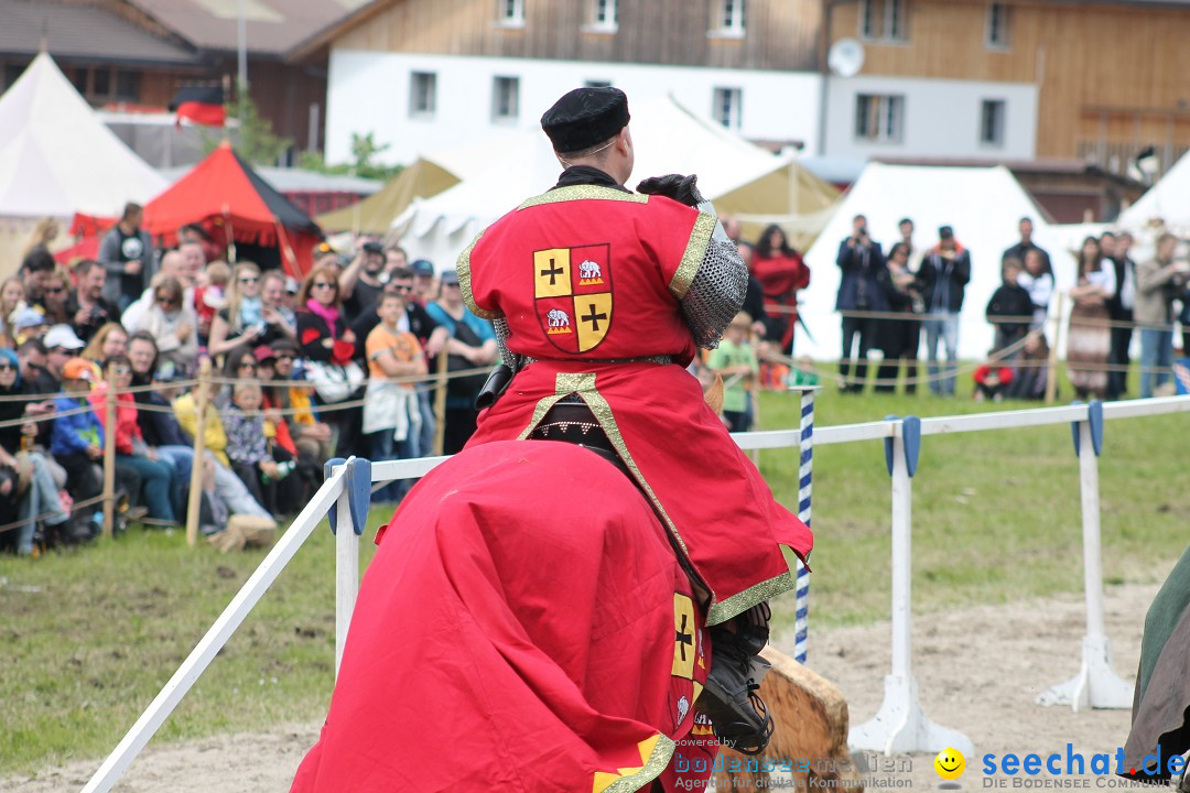 Mittelalterspektakel - Ritterturniere am Bodensee: Hinwil (ZH), 17.05.2014