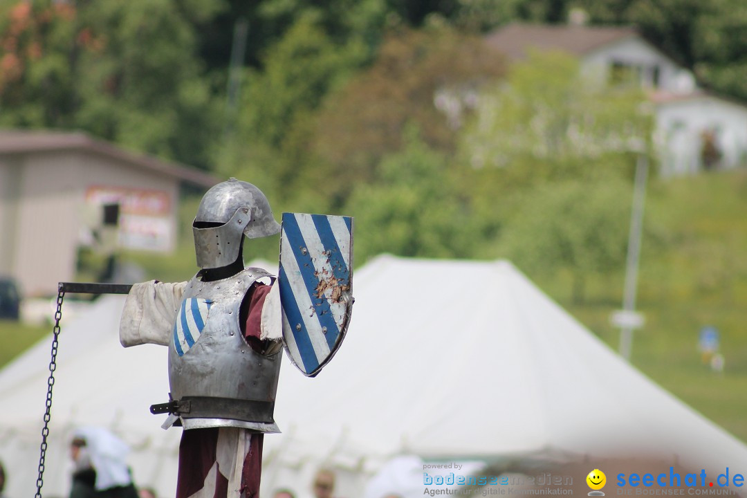 Mittelalterspektakel - Ritterturniere am Bodensee: Hinwil (ZH), 17.05.2014