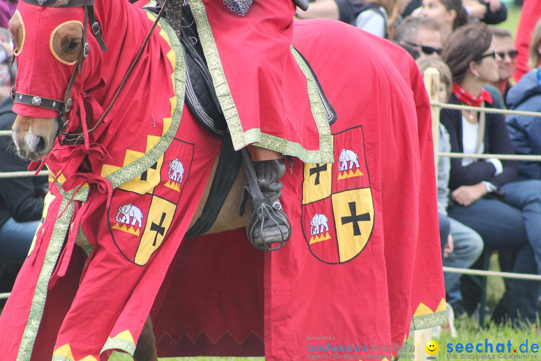 Mittelalterspektakel - Ritterturniere am Bodensee: Hinwil (ZH), 17.05.2014