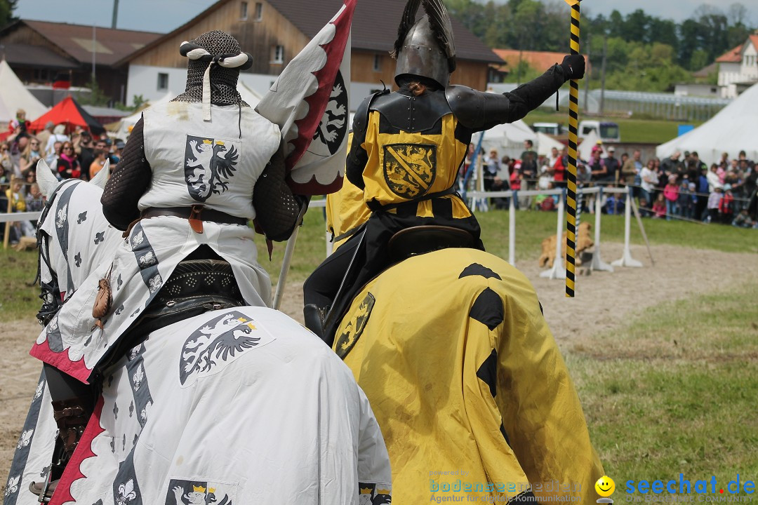 Mittelalterspektakel - Ritterturniere am Bodensee: Hinwil (ZH), 17.05.2014