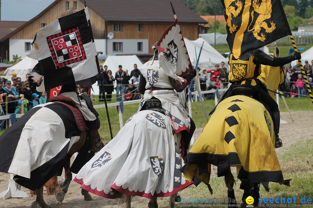 Mittelalterspektakel - Ritterturniere am Bodensee: Hinwil (ZH), 17.05.2014