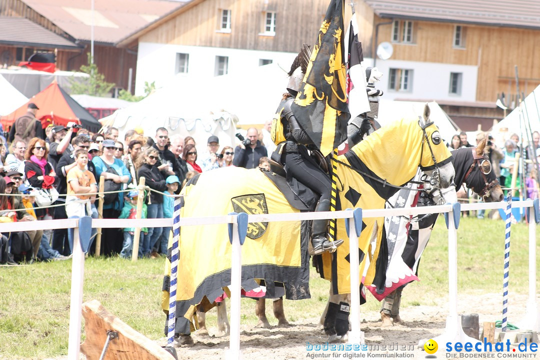 Mittelalterspektakel - Ritterturniere am Bodensee: Hinwil (ZH), 17.05.2014