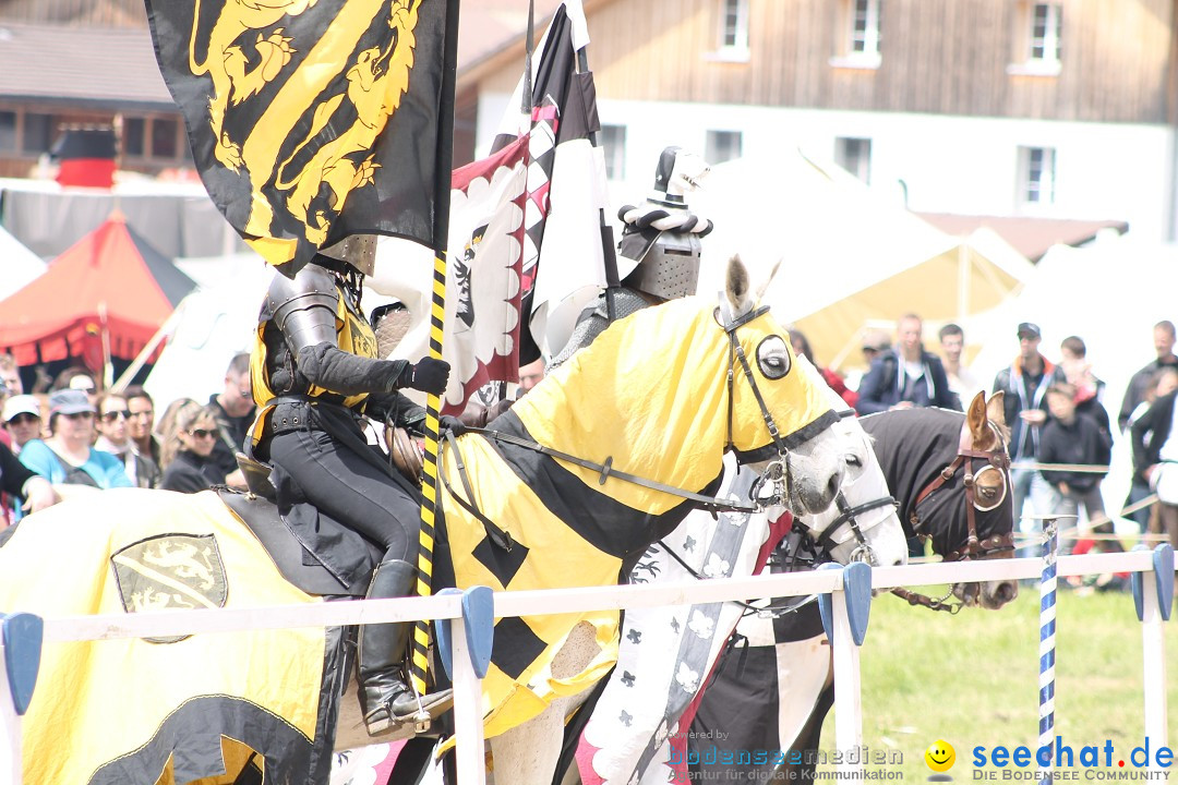 Mittelalterspektakel - Ritterturniere am Bodensee: Hinwil (ZH), 17.05.2014