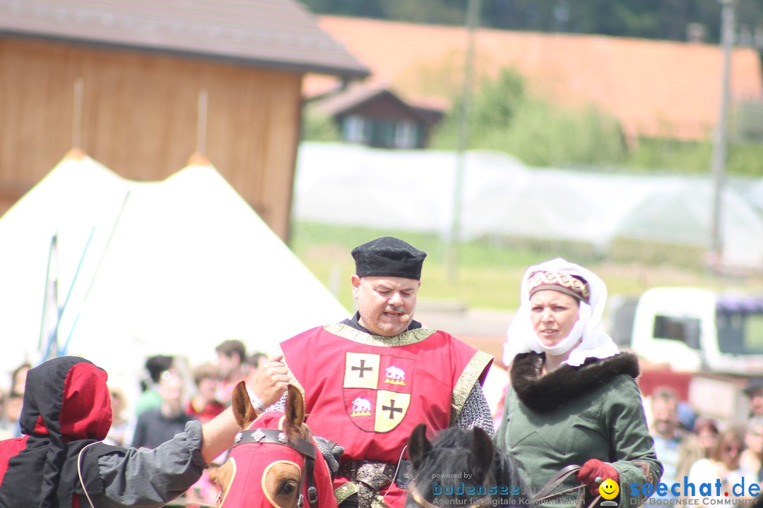 Mittelalterspektakel - Ritterturniere am Bodensee: Hinwil (ZH), 17.05.2014