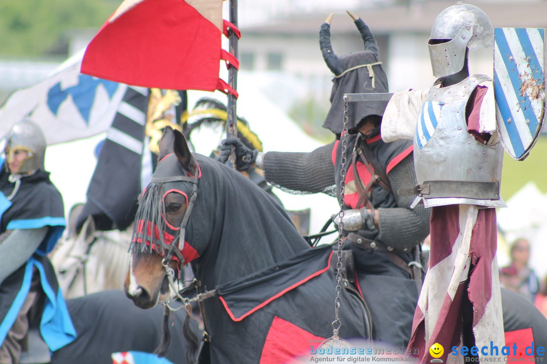 Mittelalterspektakel - Ritterturniere am Bodensee: Hinwil (ZH), 17.05.2014