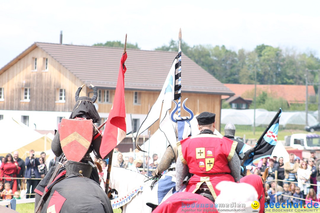 Mittelalterspektakel - Ritterturniere am Bodensee: Hinwil (ZH), 17.05.2014