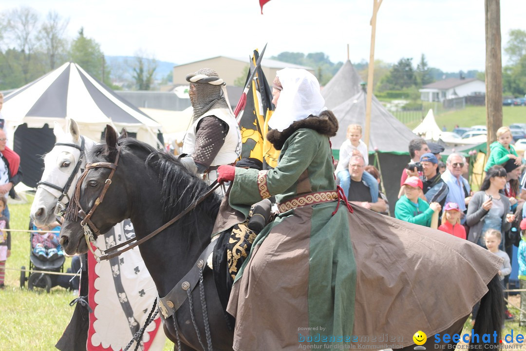 Mittelalterspektakel - Ritterturniere am Bodensee: Hinwil (ZH), 17.05.2014