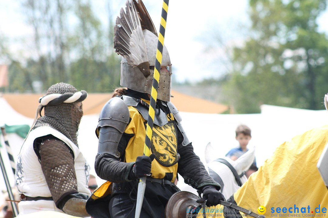 Mittelalterspektakel - Ritterturniere am Bodensee: Hinwil (ZH), 17.05.2014