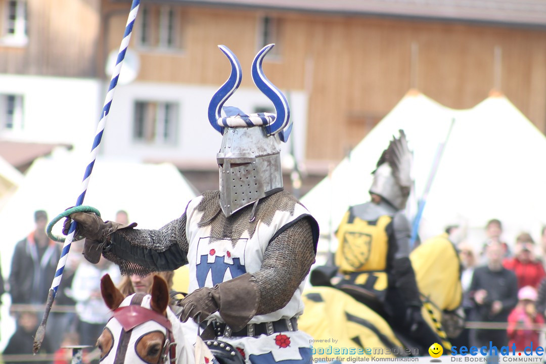 Mittelalterspektakel - Ritterturniere am Bodensee: Hinwil (ZH), 17.05.2014