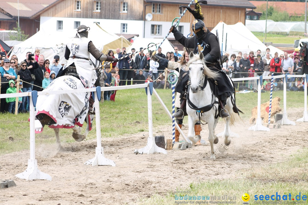 Mittelalterspektakel - Ritterturniere am Bodensee: Hinwil (ZH), 17.05.2014