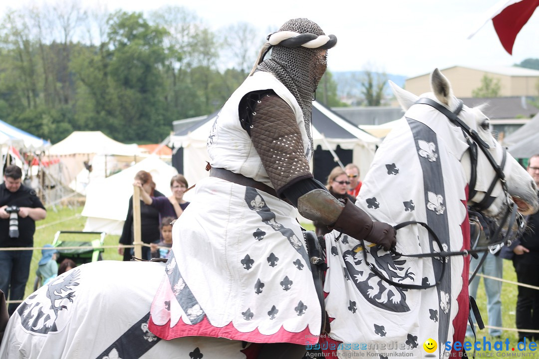 Mittelalterspektakel - Ritterturniere am Bodensee: Hinwil (ZH), 17.05.2014