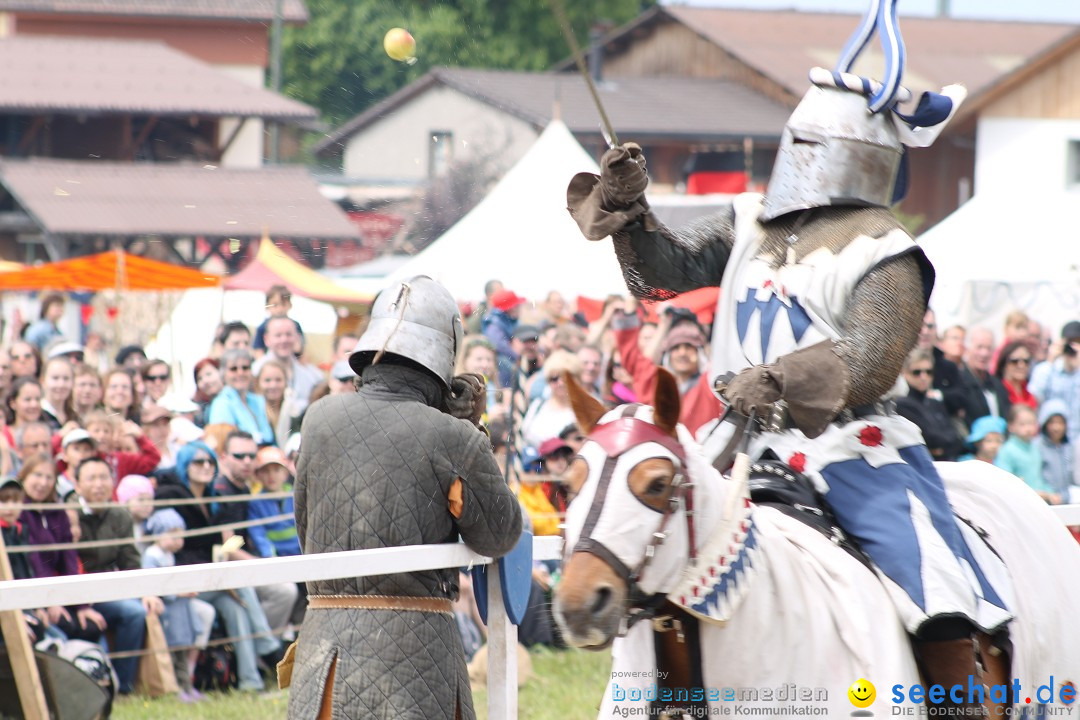 Mittelalterspektakel - Ritterturniere am Bodensee: Hinwil (ZH), 17.05.2014