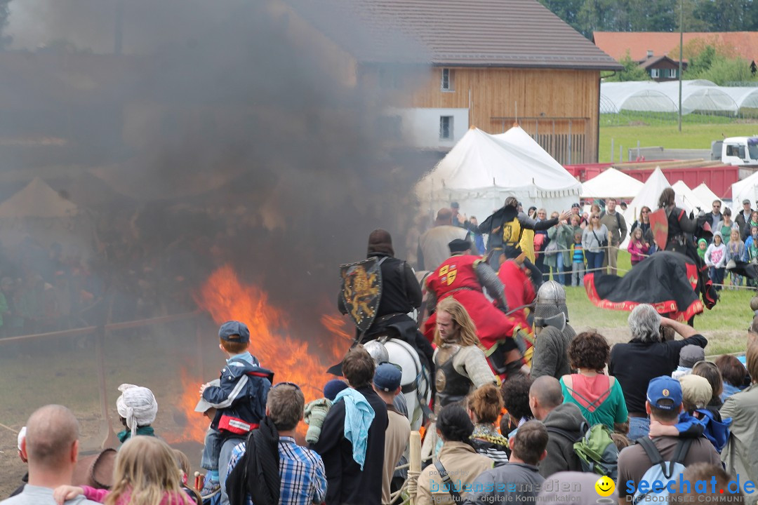 Mittelalterspektakel - Ritterturniere am Bodensee: Hinwil (ZH), 17.05.2014