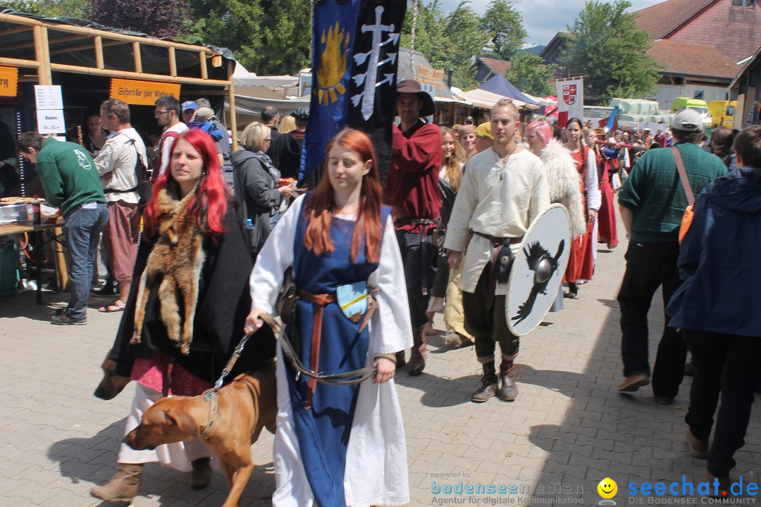 Mittelalterspektakel - Ritterturniere am Bodensee: Hinwil (ZH), 17.05.2014