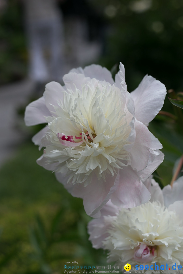 Insel Mainau: Die Blumeninsel mitten im Bodensee, 28.05.2014