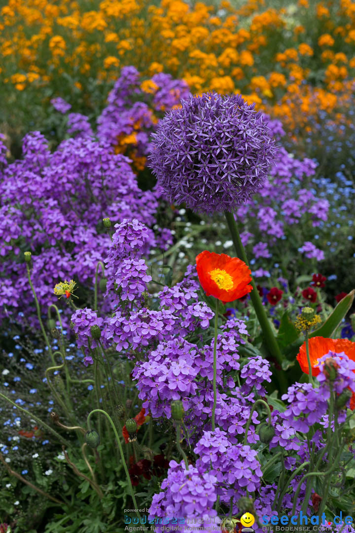 Insel Mainau: Die Blumeninsel mitten im Bodensee, 28.05.2014