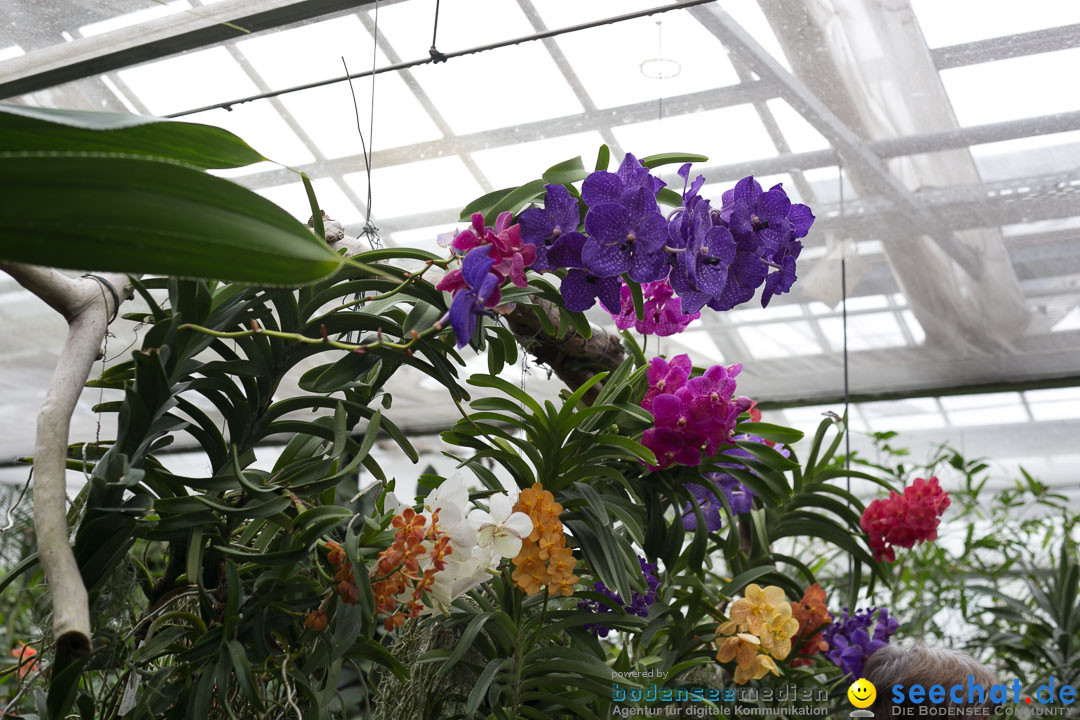 Insel Mainau: Die Blumeninsel mitten im Bodensee, 28.05.2014